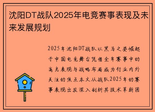 沈阳DT战队2025年电竞赛事表现及未来发展规划